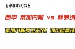 开云体育官网-莱加内斯主场不敌，需及时调整战术的简单介绍