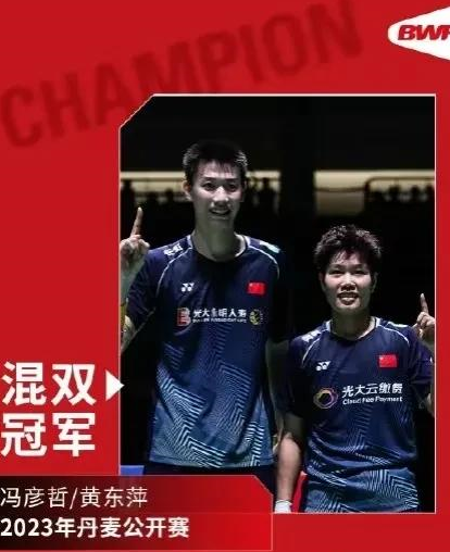 羽毛球赛事中火箭战胜对手成功夺冠