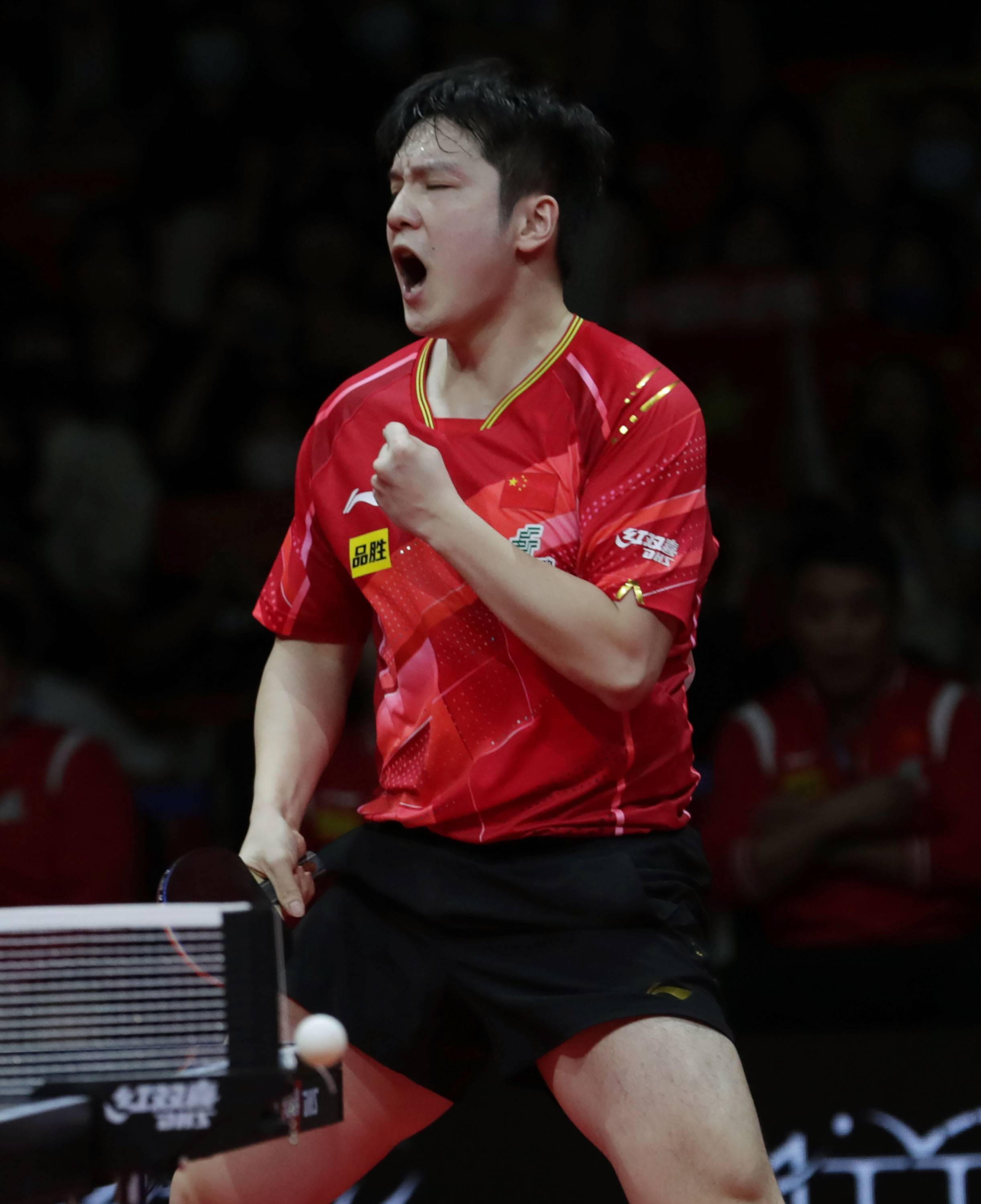 关于波兰乒乓球队强势中国乒乓球队，樊振东爆发神勇的信息